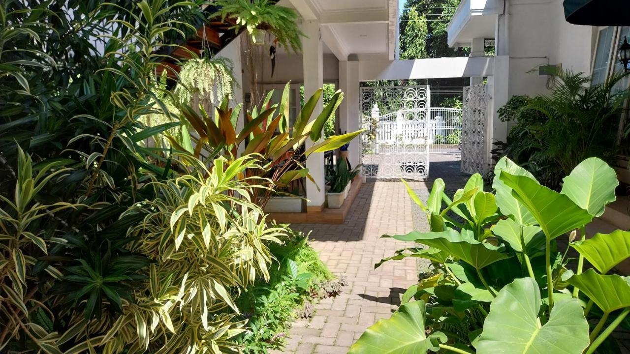 Surokarsan 9 House Yogyakarta Hotel Exterior foto